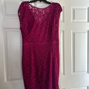 BEAUTIFUL magenta lace dress by Adrianna Papell